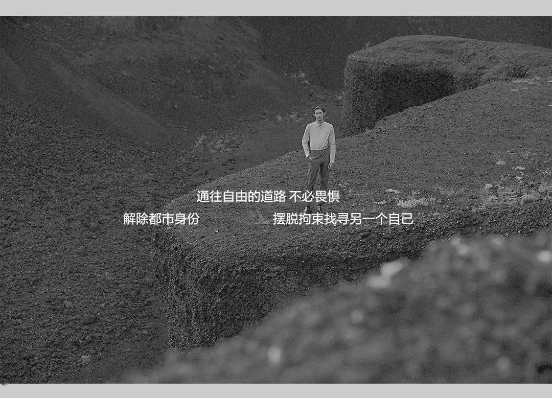 猫用空气净化器：智能除浮毛，除异味灭菌，希喂宠物空气净化器深度使用体验